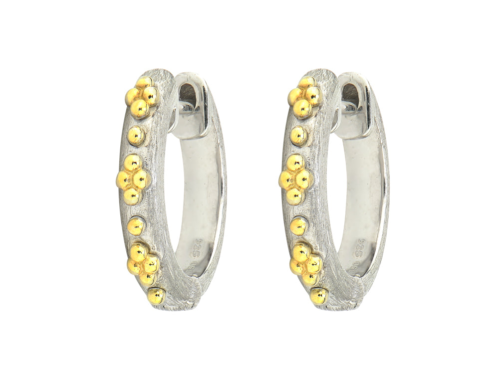 silver with gold accent earrings