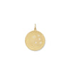 gold moon and stars pendant