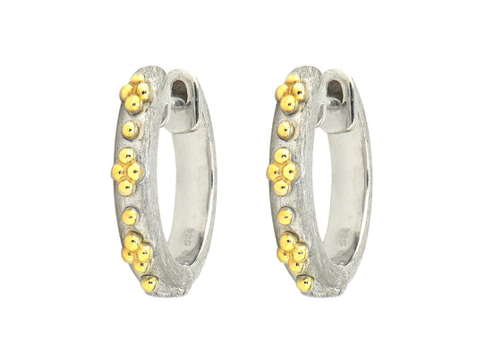 silver with gold accent earrings 